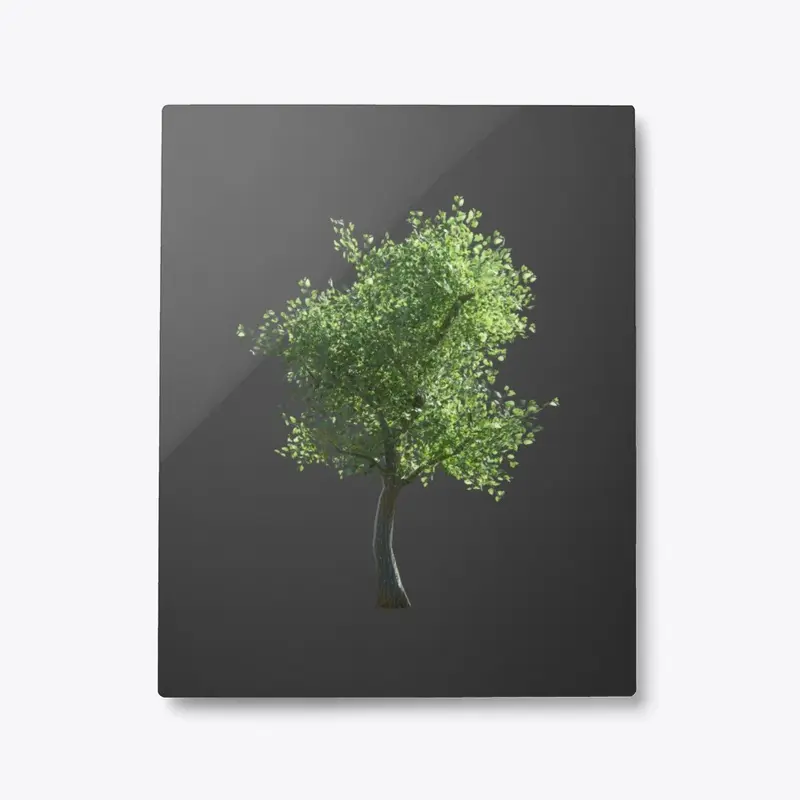 Single 3D Tree